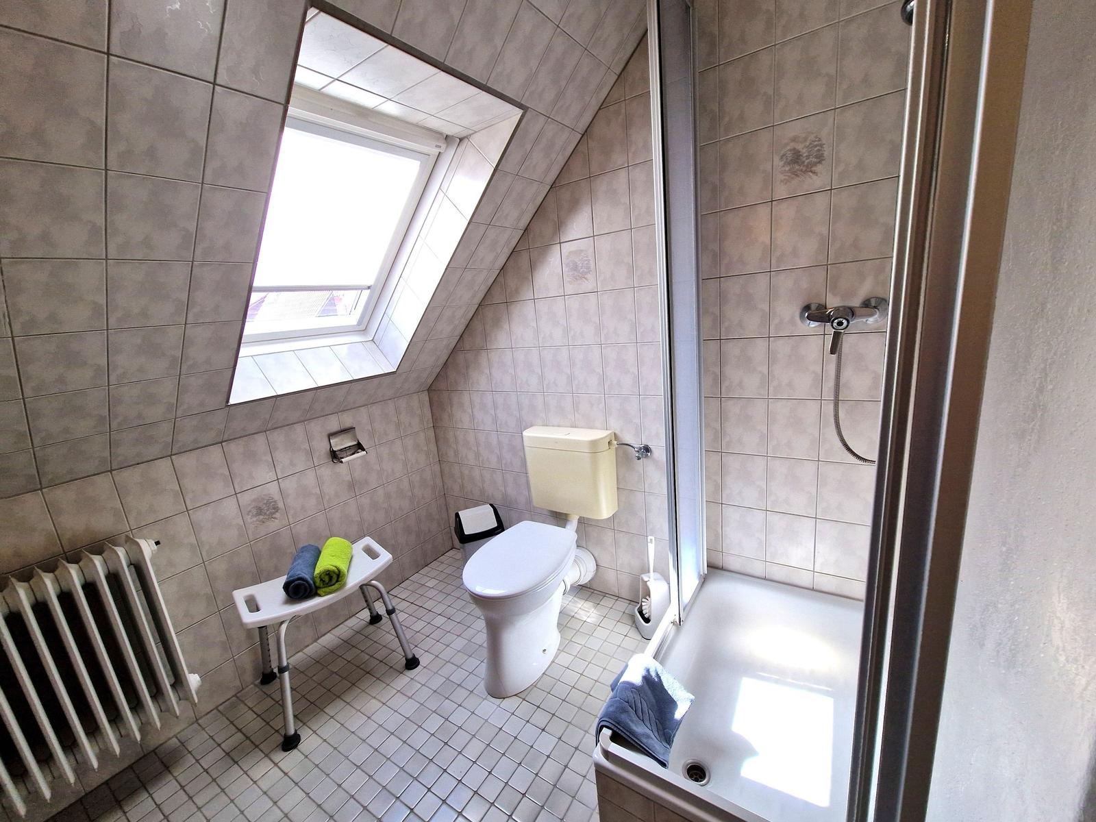 Badezimmer mit Dusche, Toilette und Dachfenster. Fliesenwand und Boden.