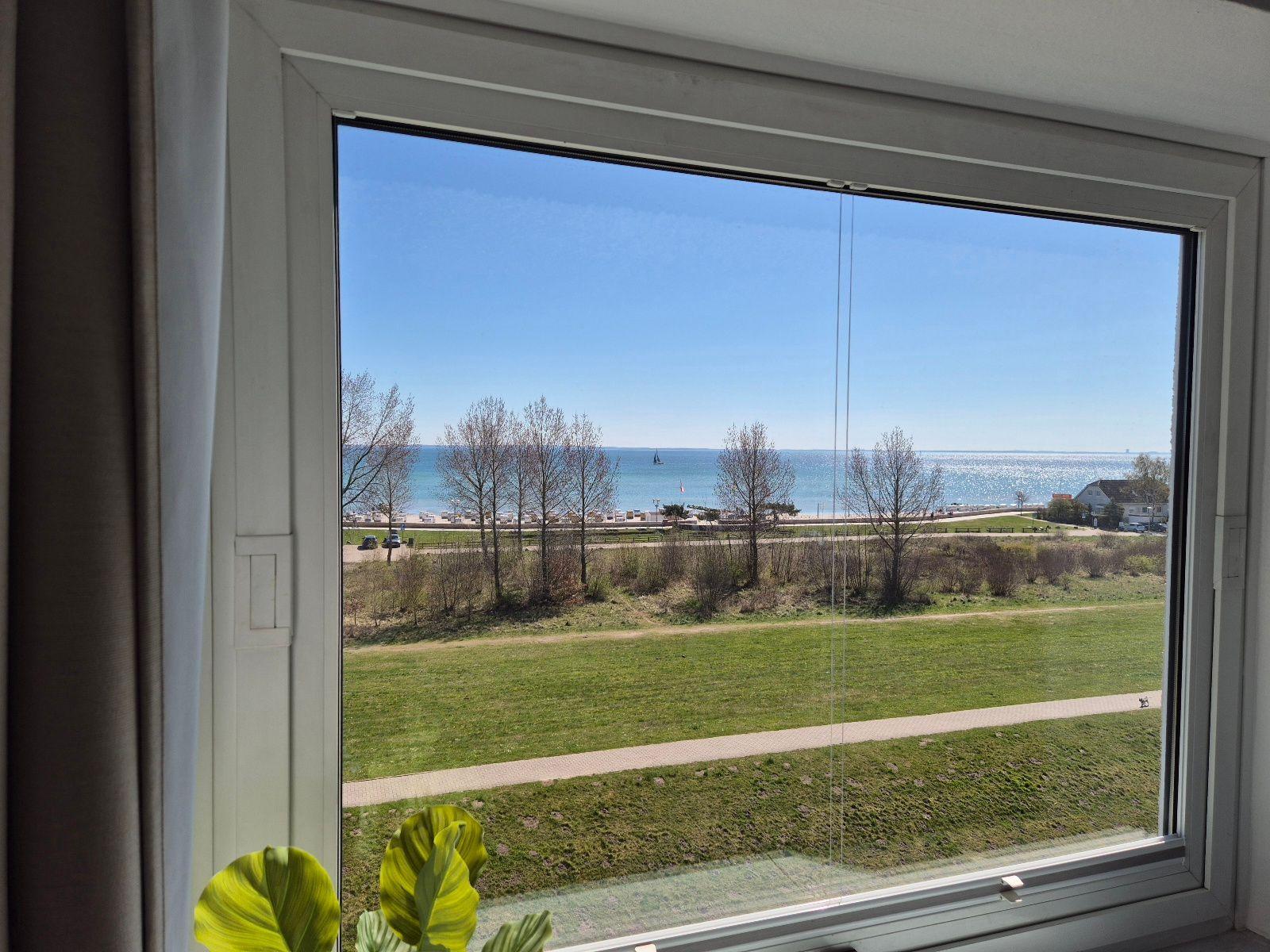 Durch das Fenster blickt man auf einen Strand mit Bäumen und das Meer.
