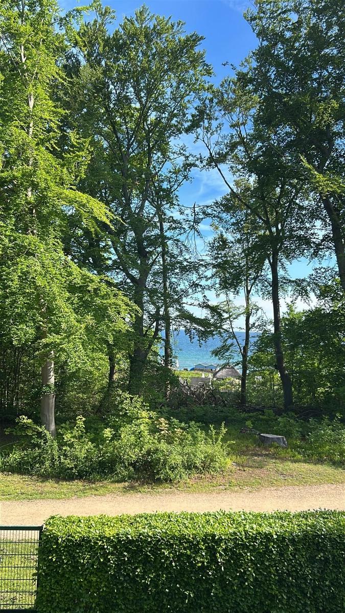 Waldweg führt zu Strand mit Blick auf blaues Wasser.