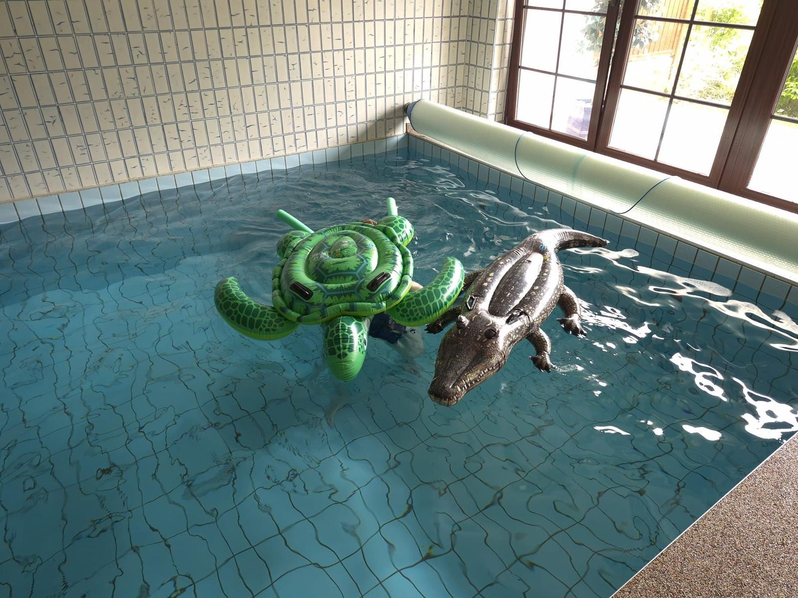 Pool mit grünem Schildkröten- und braunem Krokodil-Schwimmreifen