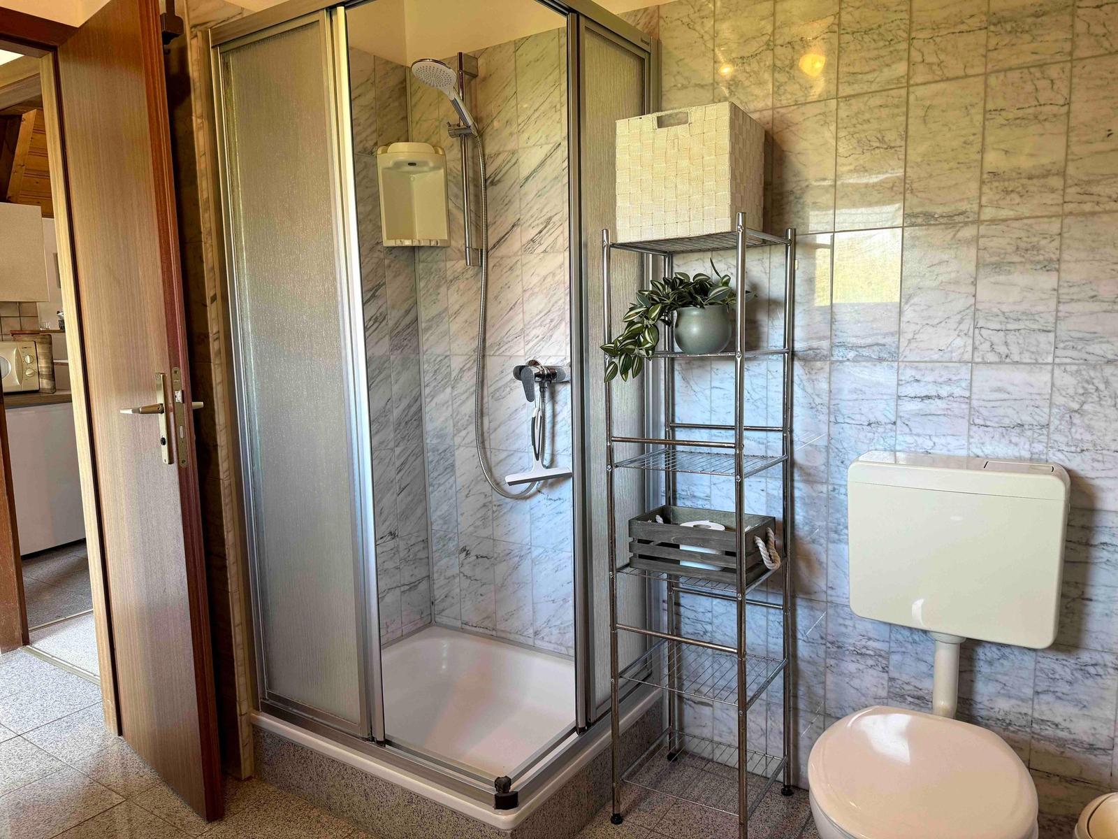 Dusche mit Duschbrause, Toilette und Metallregal mit Pflanze.
