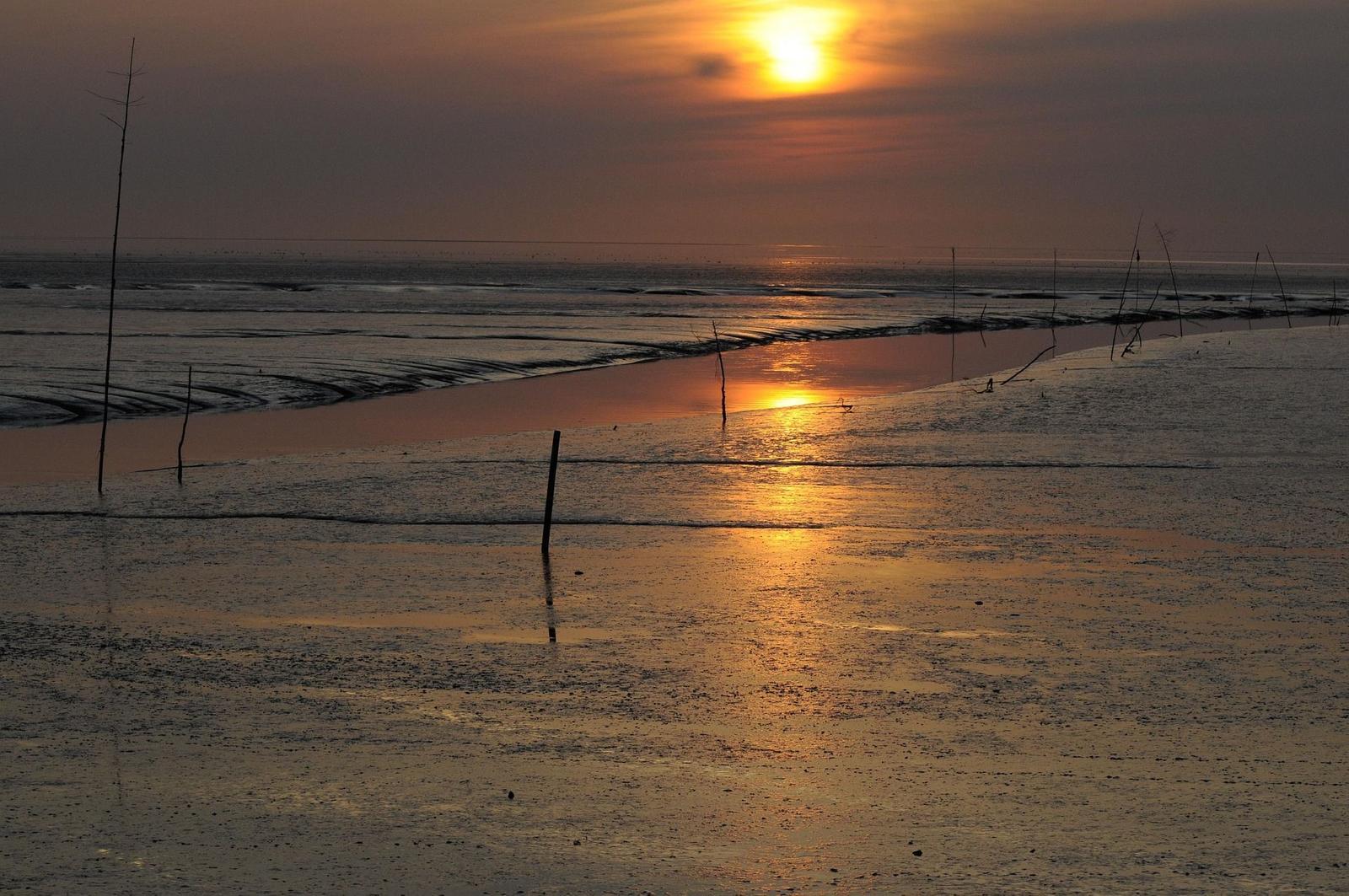 Sunset over tidal flats with poles and waves.