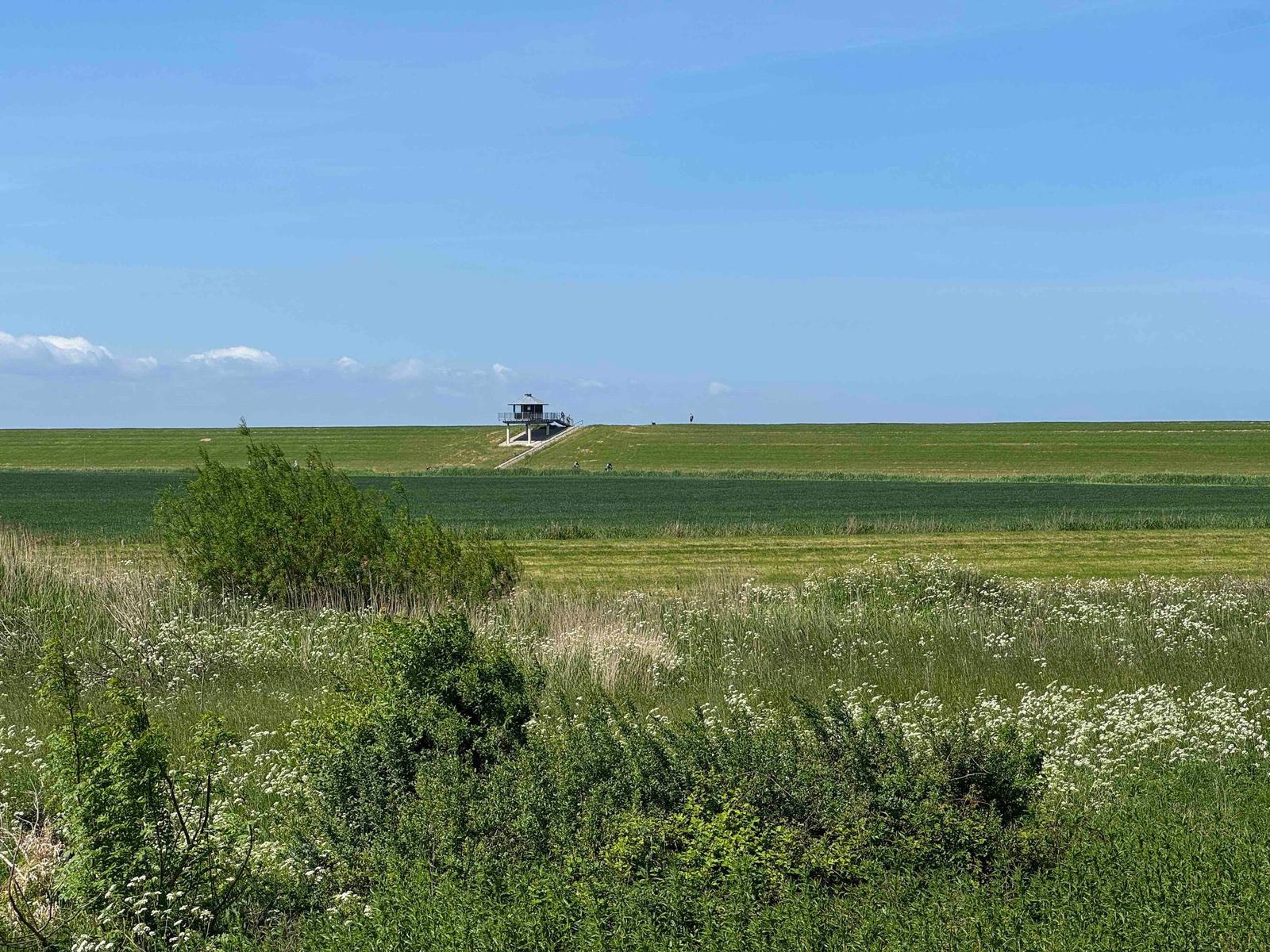 Wide green landscape with observation tower on a dune under blue sky.