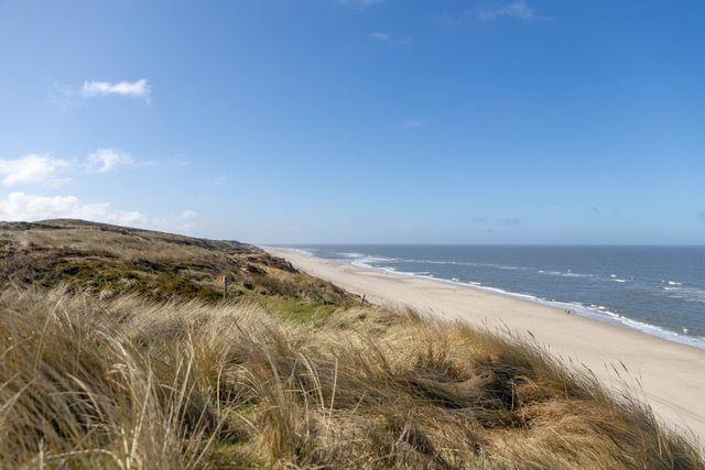 Strand mit Dünen und Meer unter blauem Himmel.