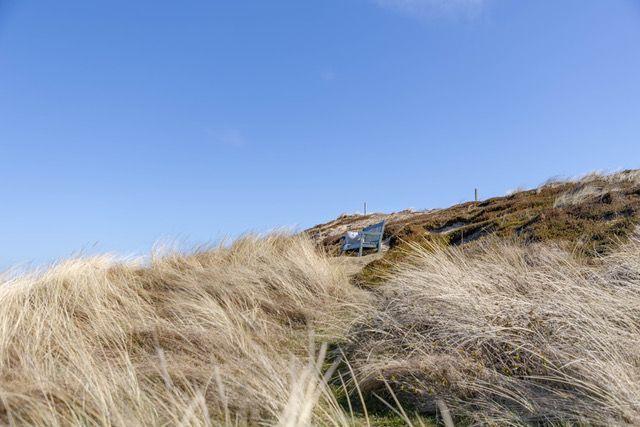 Hoch oben auf Dünen mit trockenem Gras und blauem Himmel. Ein Holzstuhl ist sichtbar.