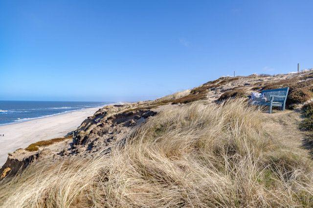 Blick auf Strand und Meer von einer Dünenhöhe mit Holzbank.