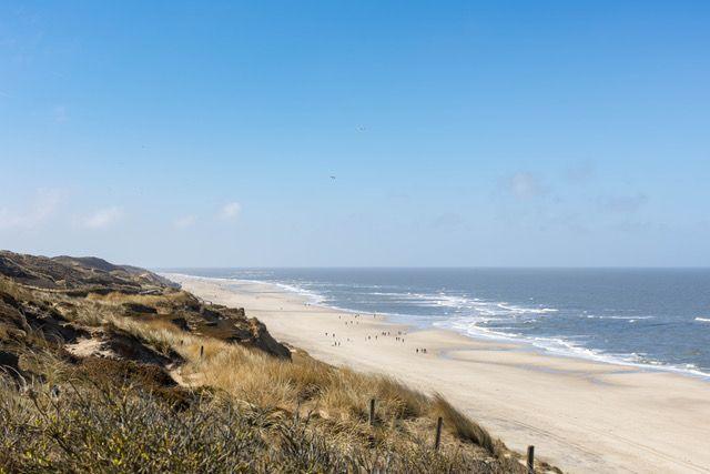 Strand mit Dünen und Meer unter blauem Himmel