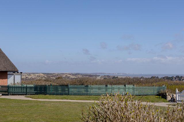 Grüner Zaun umgeben von Gras und Sträuchern, Blick auf Dünen und Meer unter blauem Himmel.