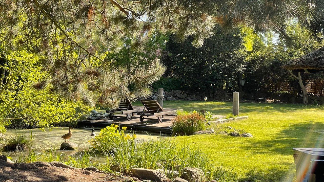 Garten mit Teich, Liegestühle und grüner Vegetation unter Bäumen.