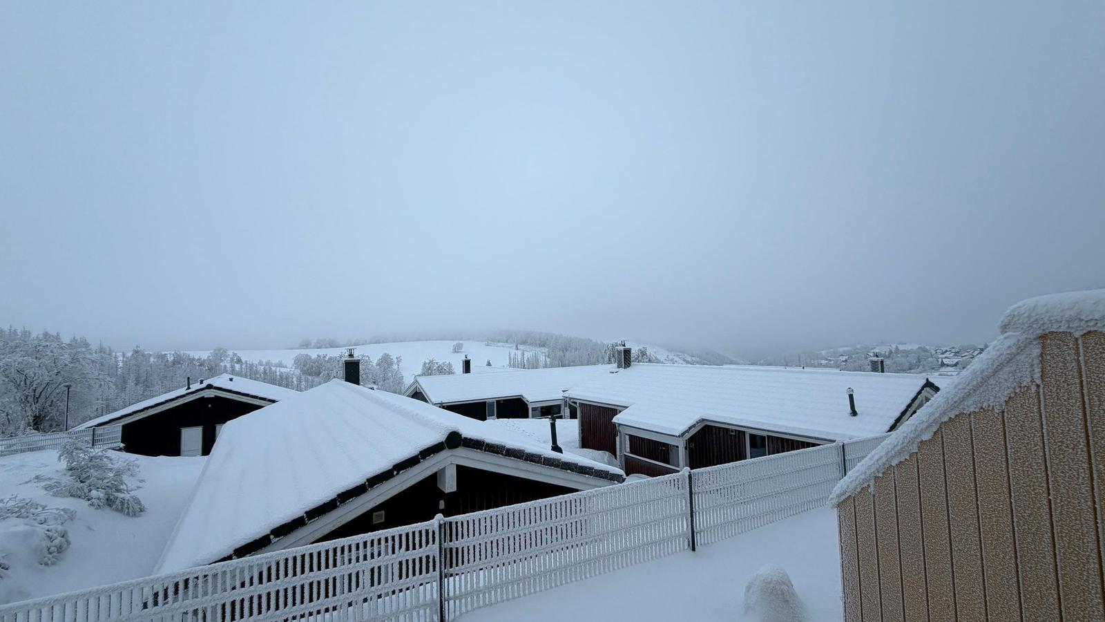 Schneebedeckte Häuser mit weißen Zaun und verschneiten Bäumen im Hintergrund.