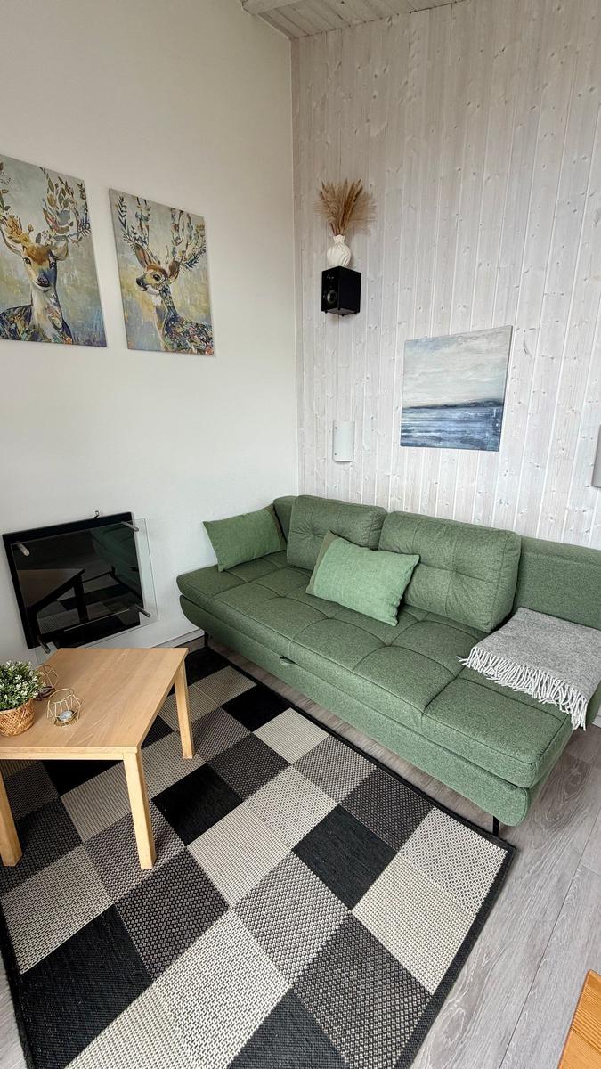 Grünes Sofa mit Kissen, Holztisch und gemustertem Teppich im Wohnzimmer.