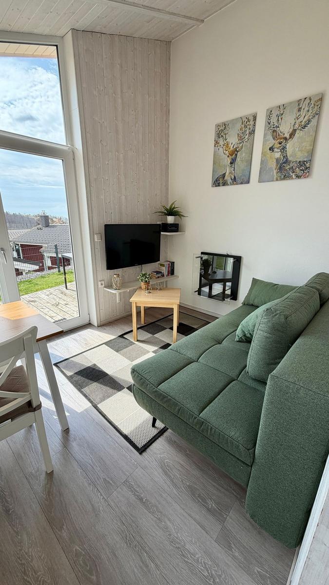 Ein Wohnzimmer mit grünem Sofa, Fernseher und Blick auf den Garten.