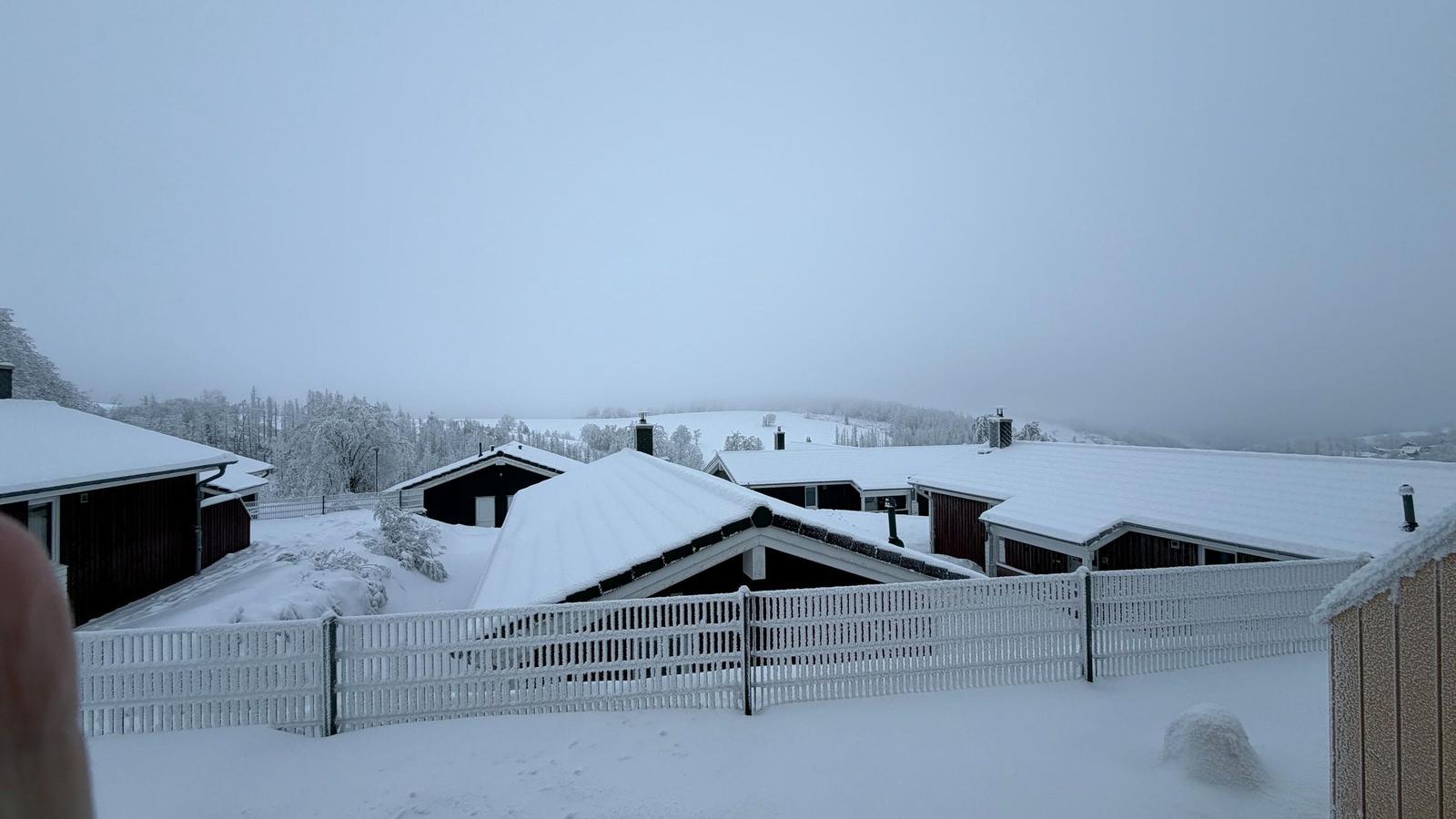 Schneebedeckte Häuser mit weißem Zaun und schneebedeckten Bäumen im Hintergrund.