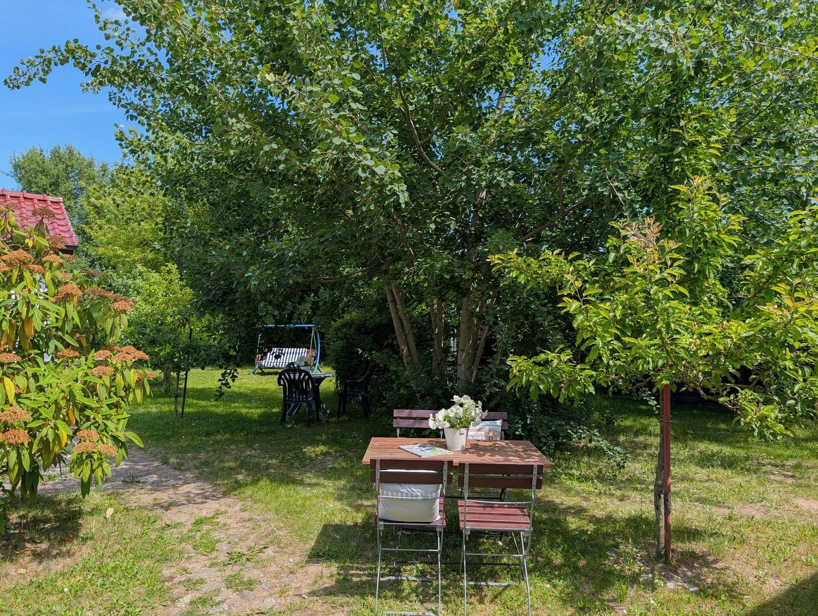 Garten mit Tisch, Stühlen und Schaukel unter Bäumen.