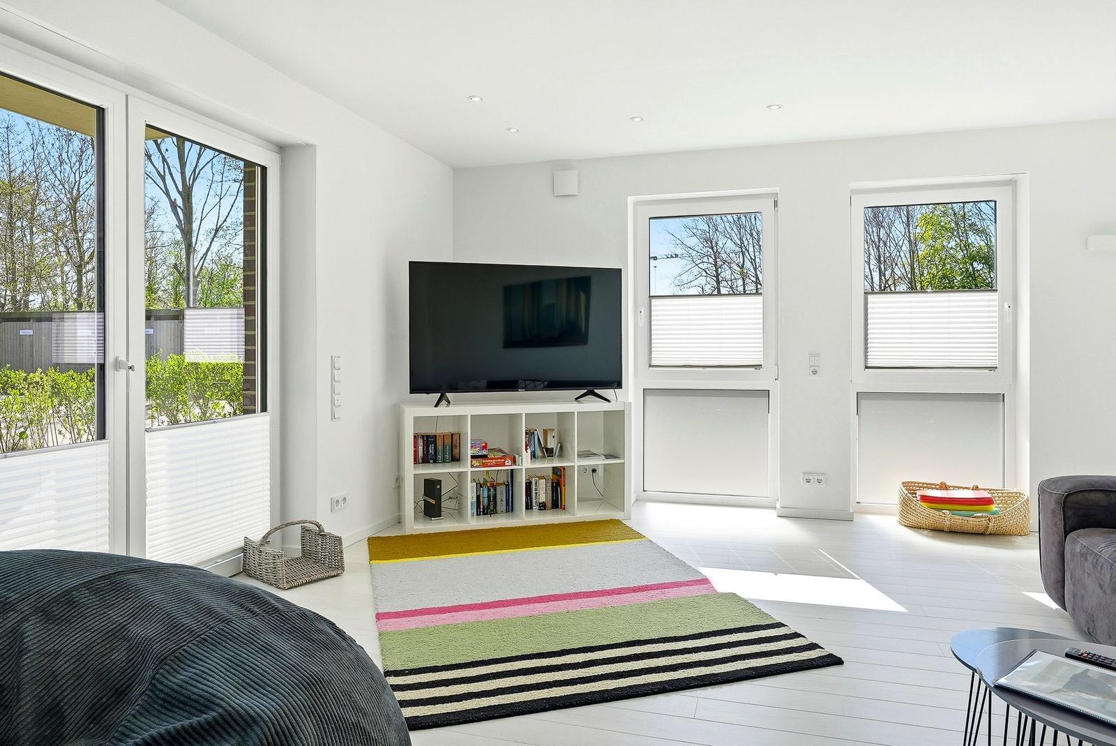 Living room with TV, rug, and windows. Furniture and decor are visible.