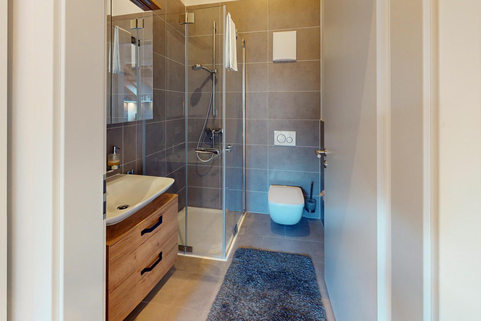 Badezimmer mit Dusche, Waschbecken und Toilette. Holzschrank und Teppichboden.