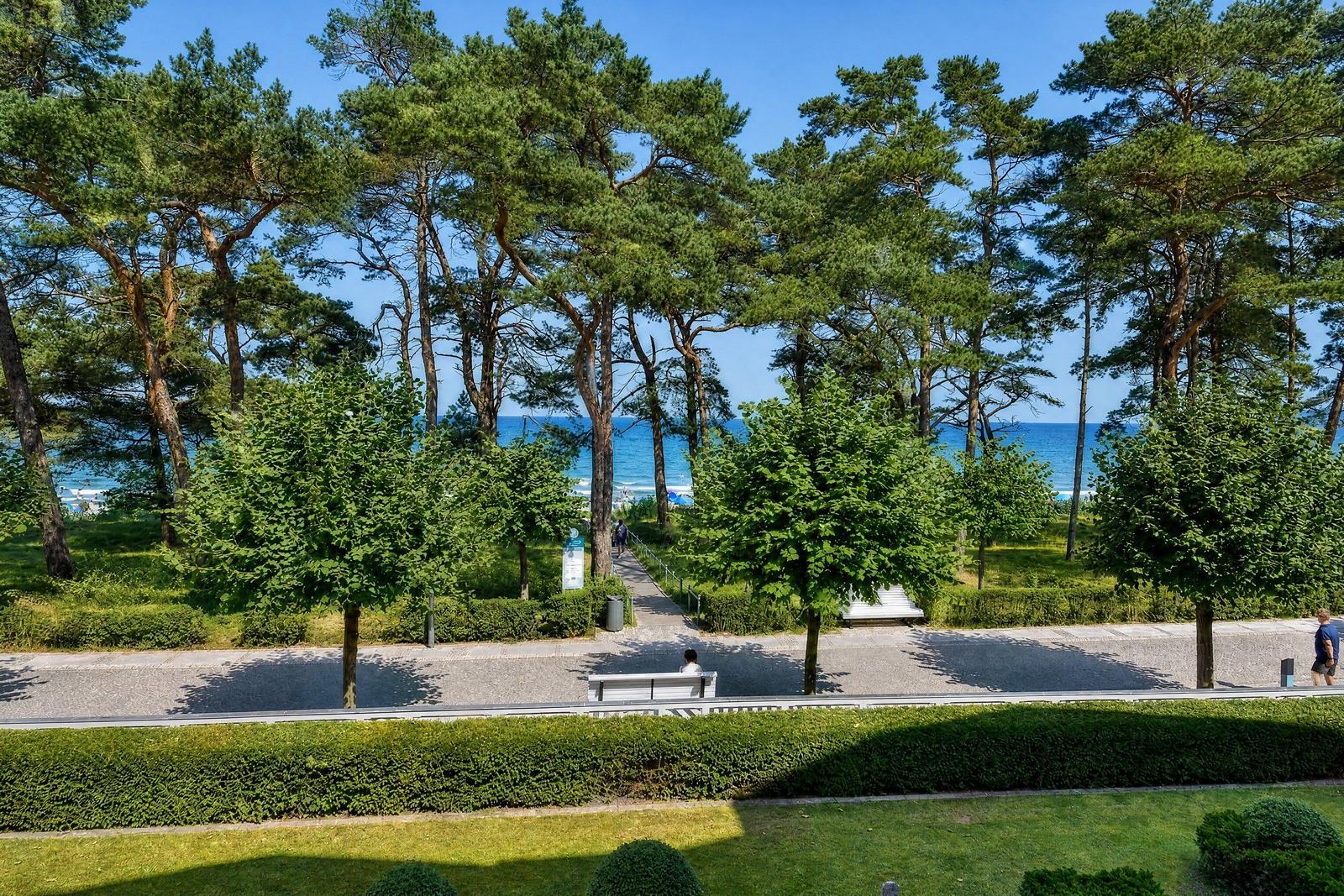 Weg durch Bäume zum Strand mit Blick auf das Meer.