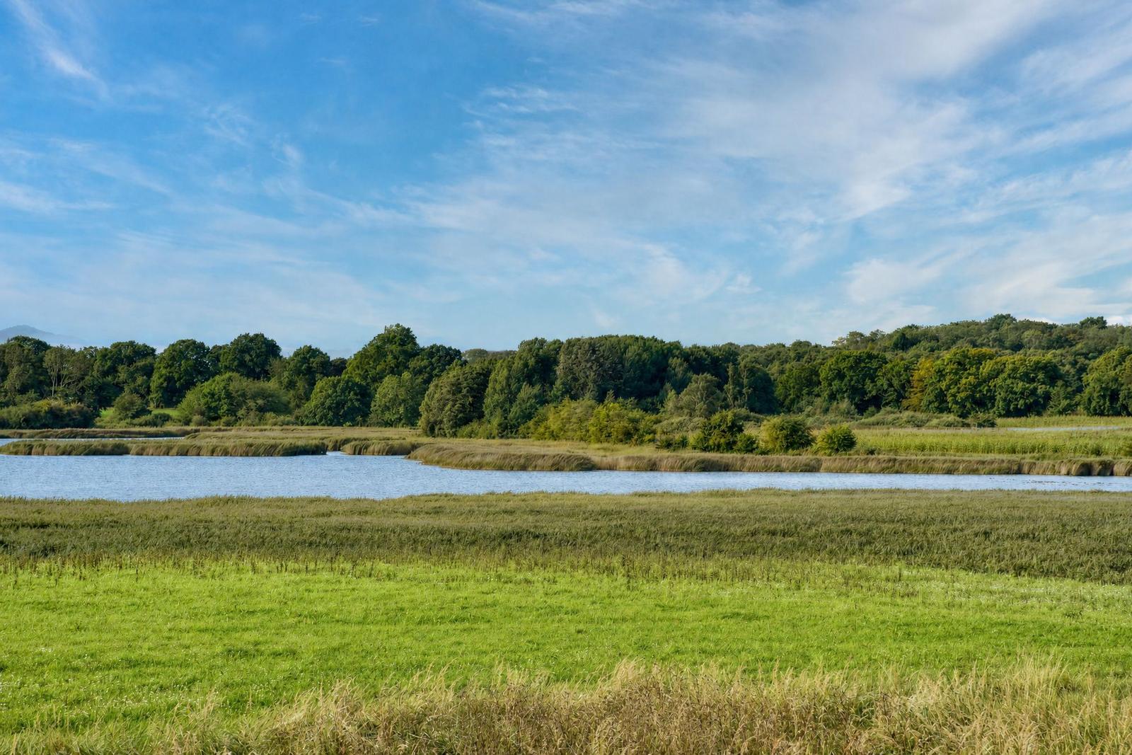 Grünes Feld neben einem See mit Wald im Hintergrund unter blauem Himmel.