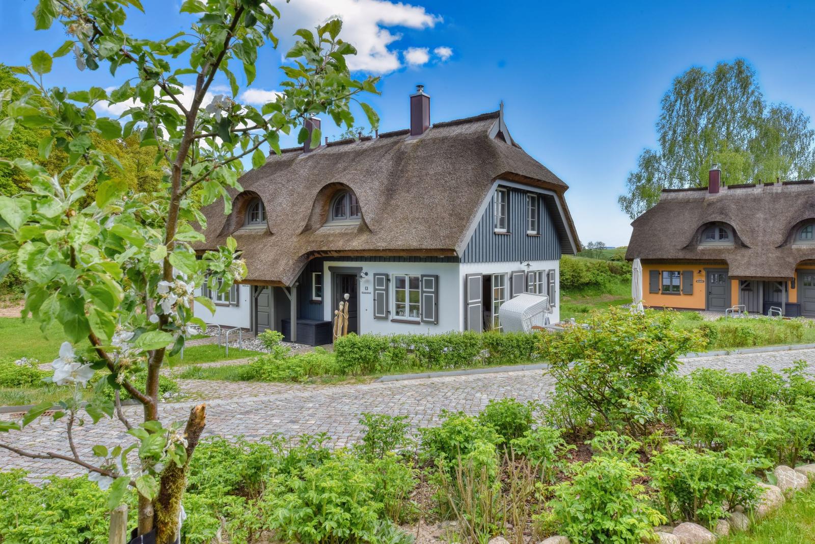 Thatched-roof houses with green gardens and gravel paths under a blue sky.