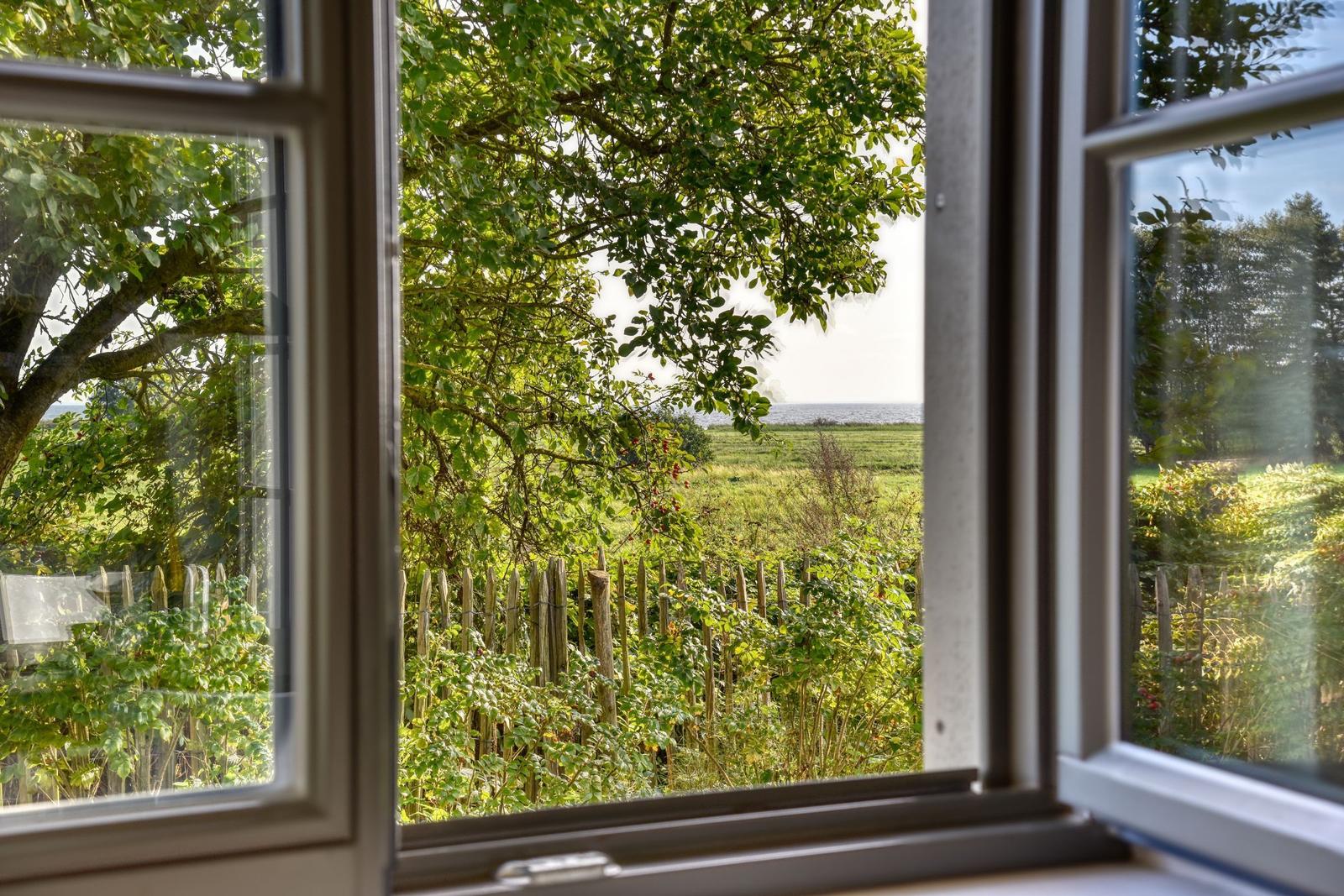Durch das Fenster blickt man auf einen grünen Garten mit Zaun und Bäumen. Im Hintergrund ist Wasser zu sehen.