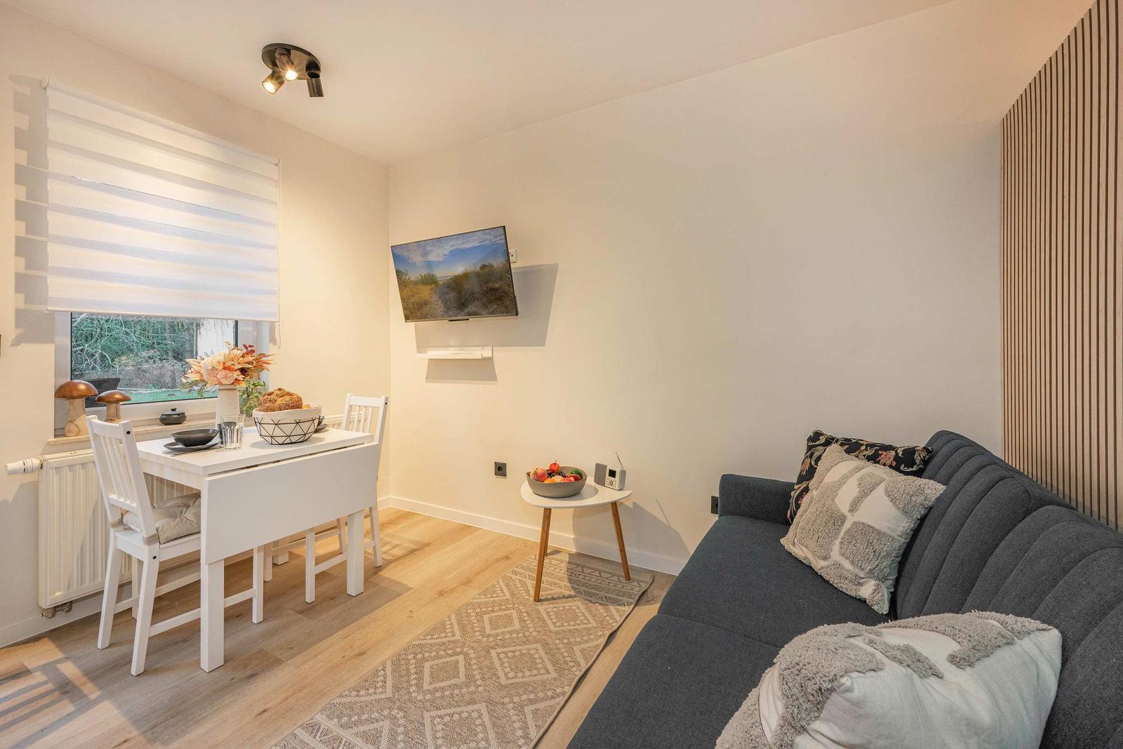 Living and dining area with sofa, table, TV, and window.