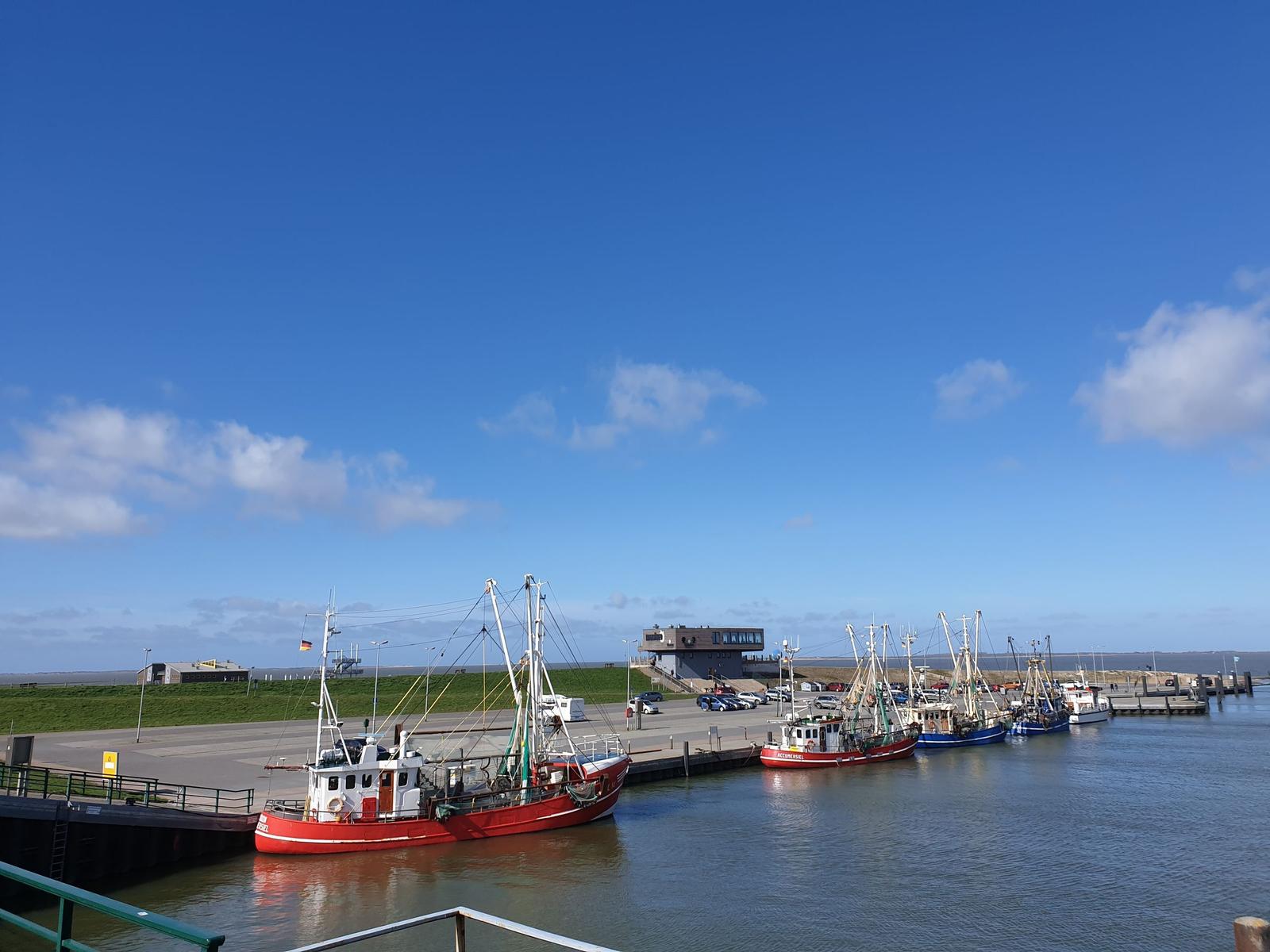 Harbor with several fishing boats and a modern building in the background.