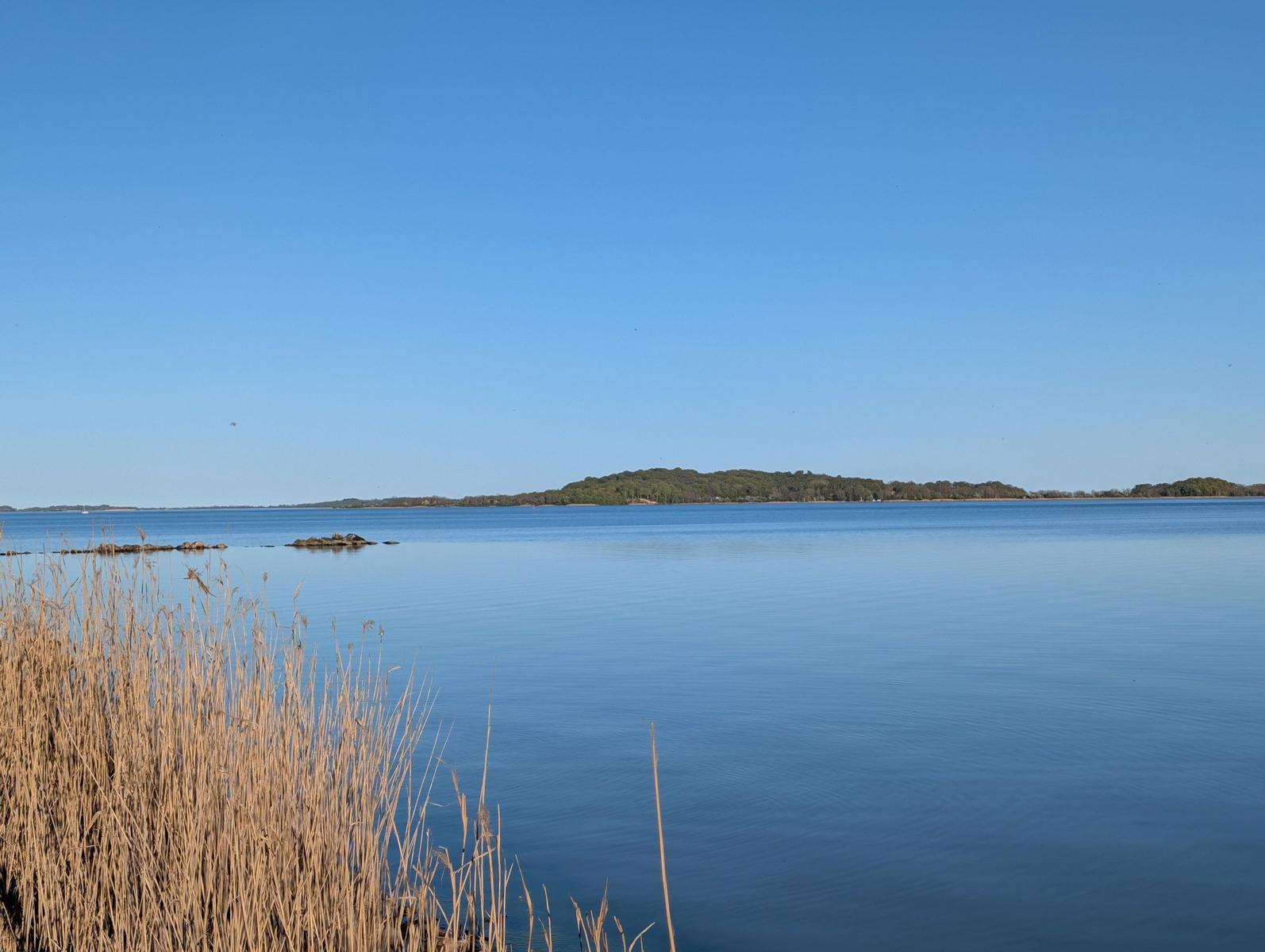 Ruhige Wasserlandschaft mit Insel im Hintergrund und Schilf im Vordergrund.