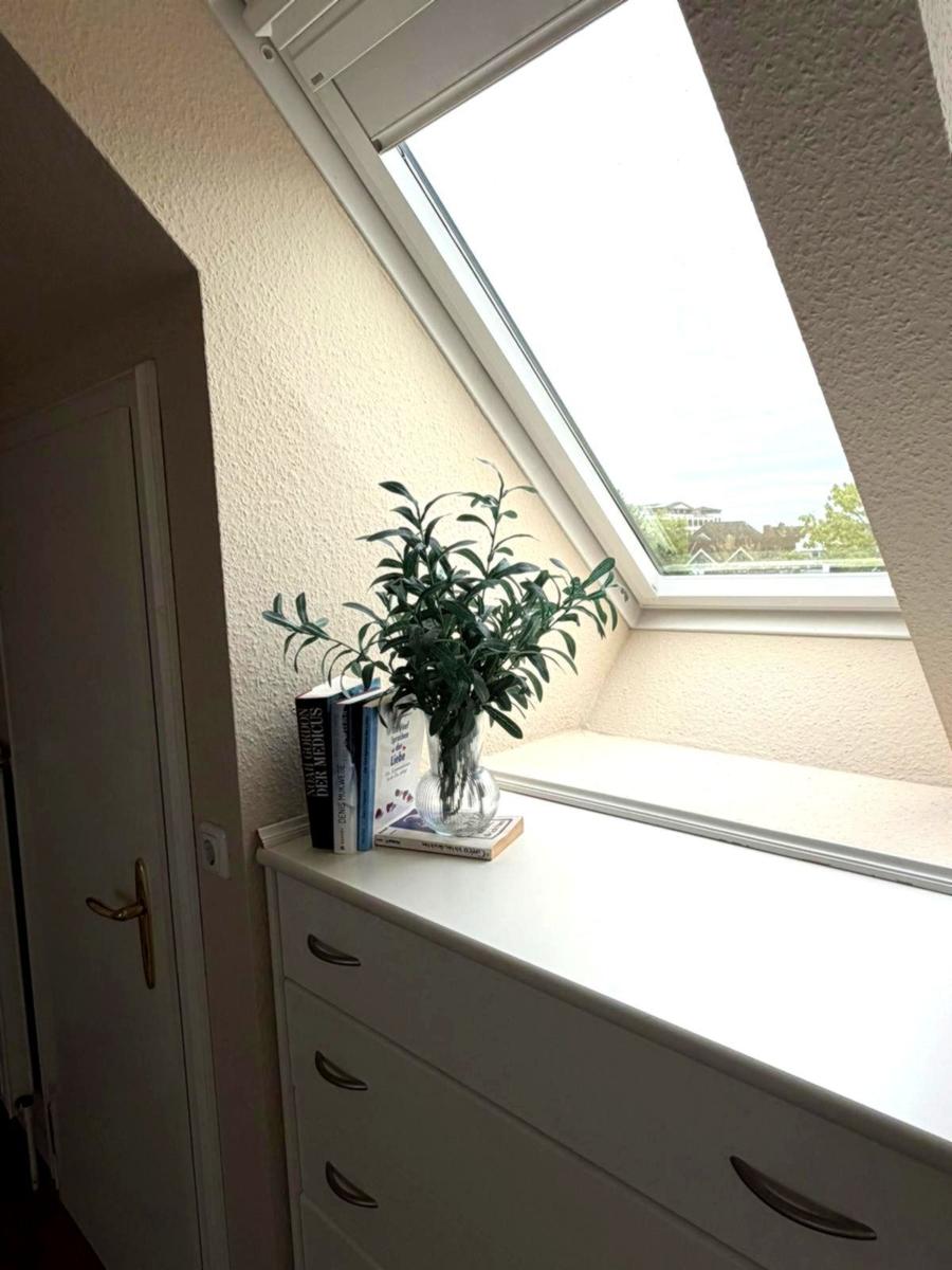 Dachfenster mit Pflanze und Büchern auf Schrank