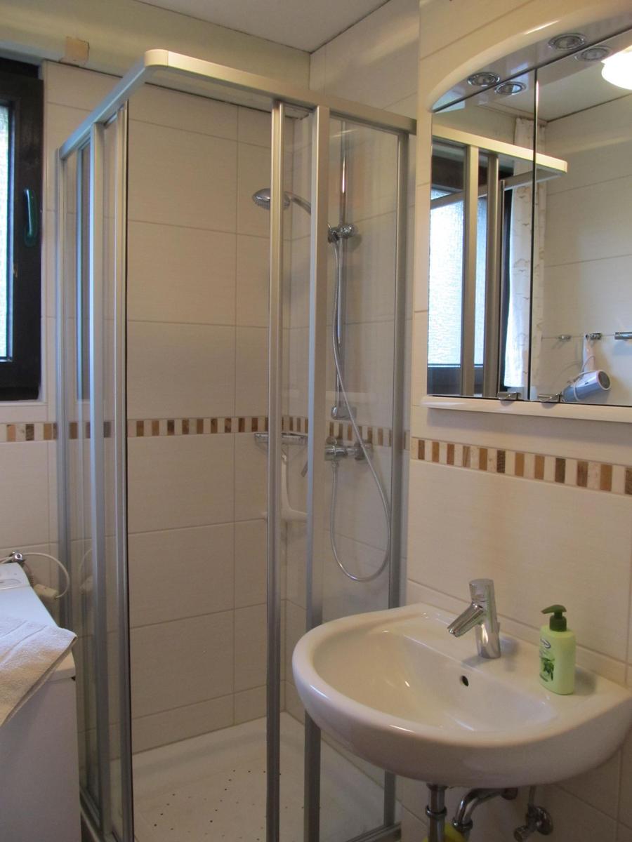 Badezimmer mit Duschkabine, Waschbecken und Spiegel