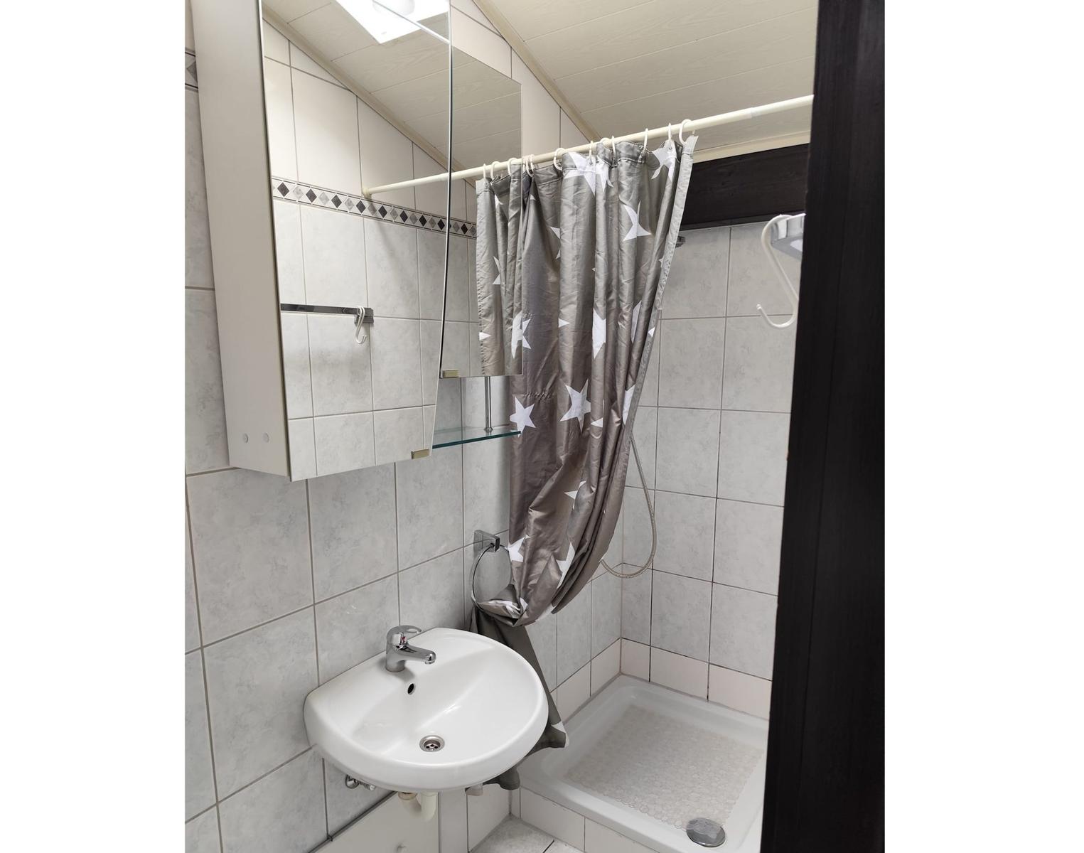 Bathroom with shower, sink, and mirror cabinet