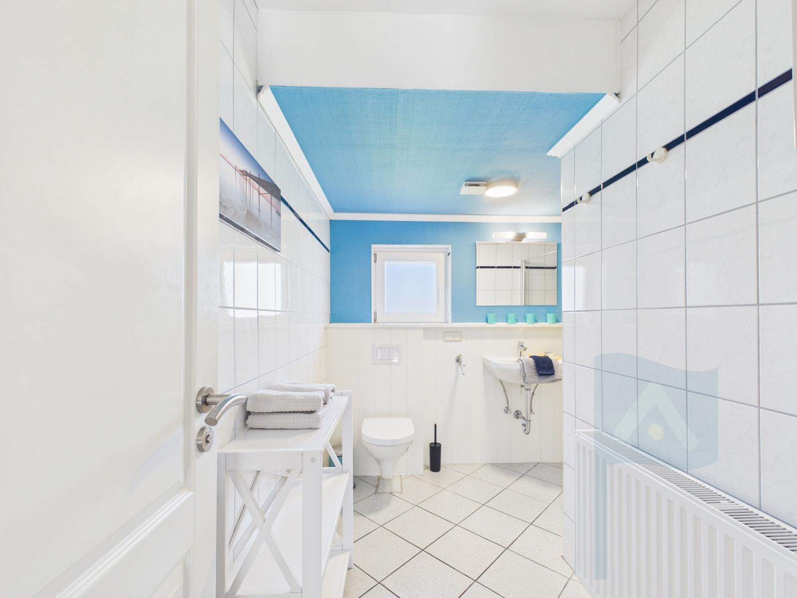 Bathroom with blue ceiling area, toilet, sink, and mirror.