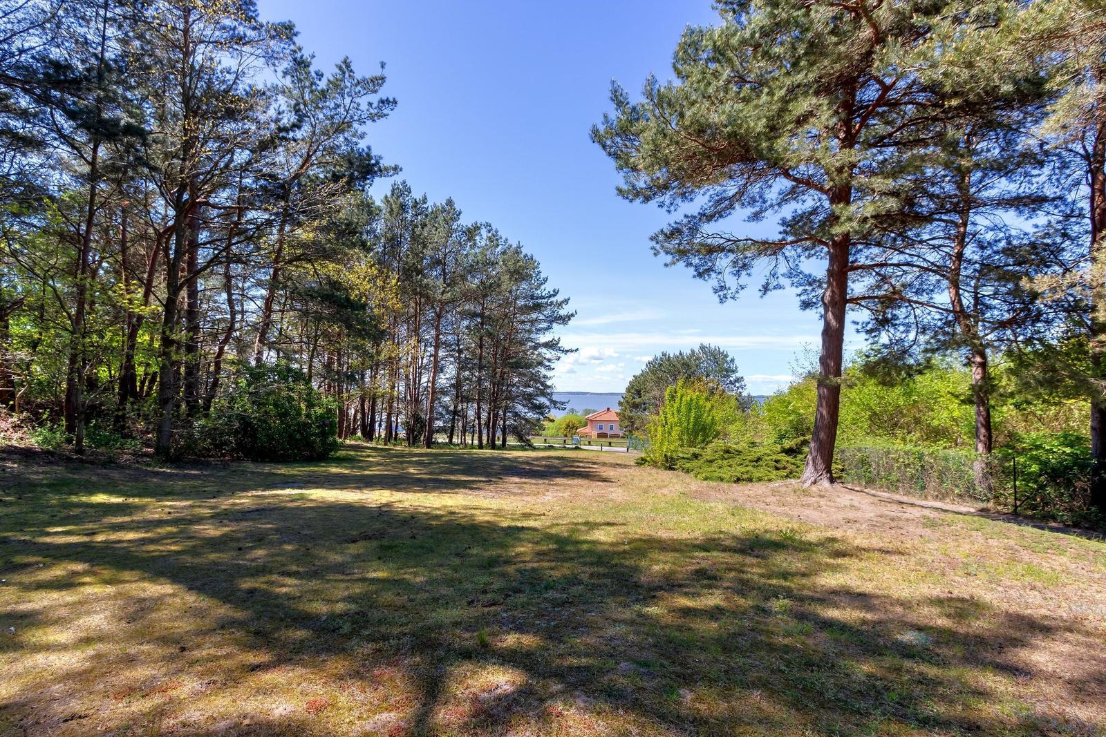 Green lawn area with tall trees and view of a house by the water.