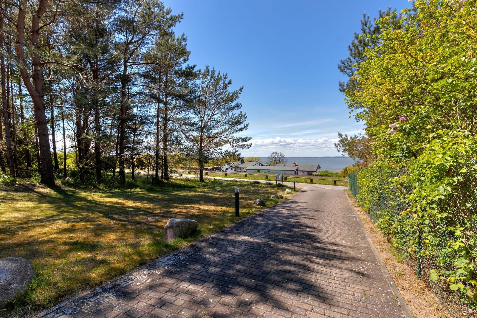 Paved path through forest to the sea, with grass, trees, and houses in the background.
