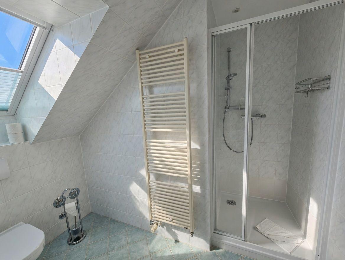 Dusche mit Duschbrause, Heizkörper und Dachfenster mit Toilette.