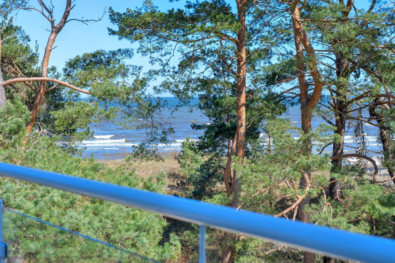 Blick vom Balkon auf den Strand und das Meer durch grüne Nadelbäume.