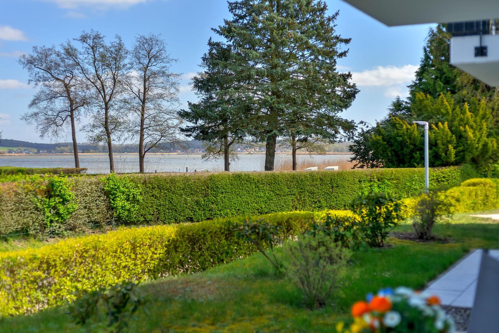 Garten mit Hecken und Blick auf den See
