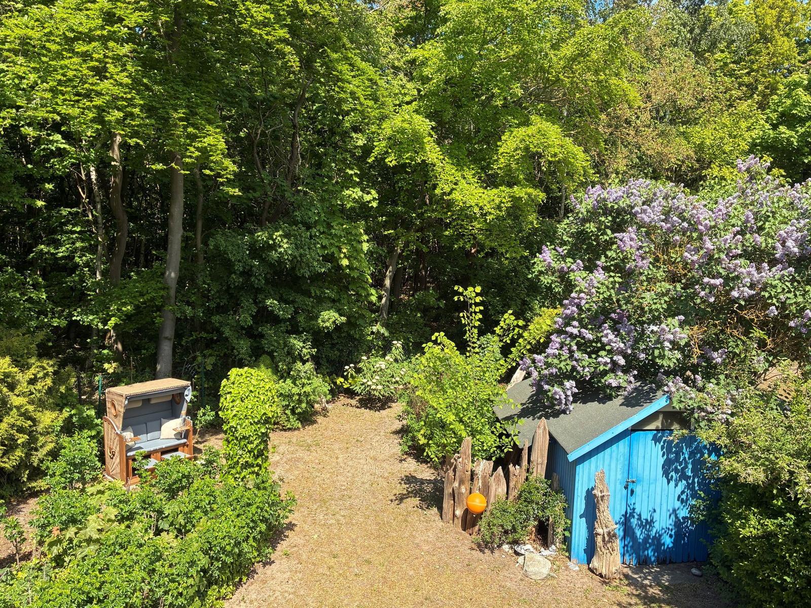 Blauer Schuppen neben lila Blütenbaum und Holzgartenmöbel im Wald.