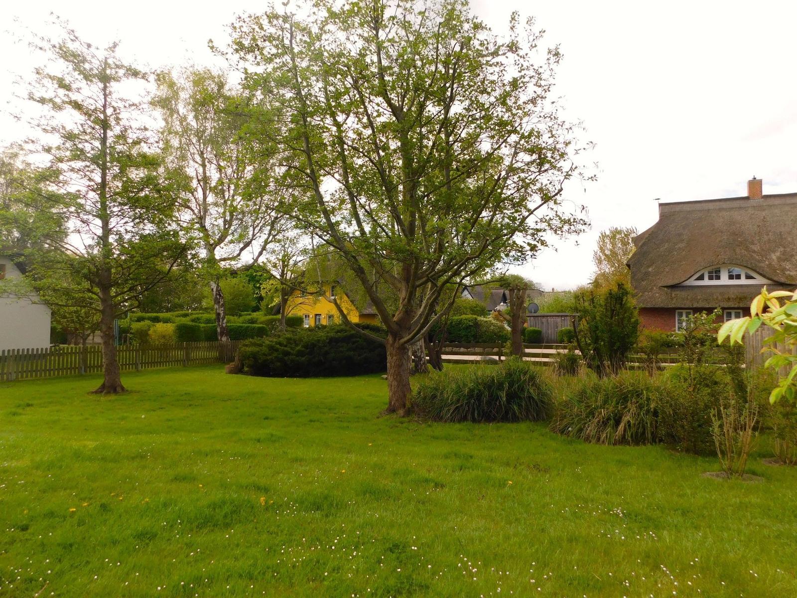 Grüner Garten mit Bäumen und einem roten Haus mit Strohdach.