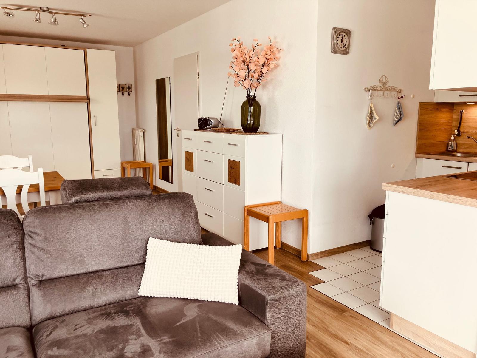 Wohnzimmer mit Sofa, Küchenbereich und Schrank. Holz- und Weißtonmöbel.