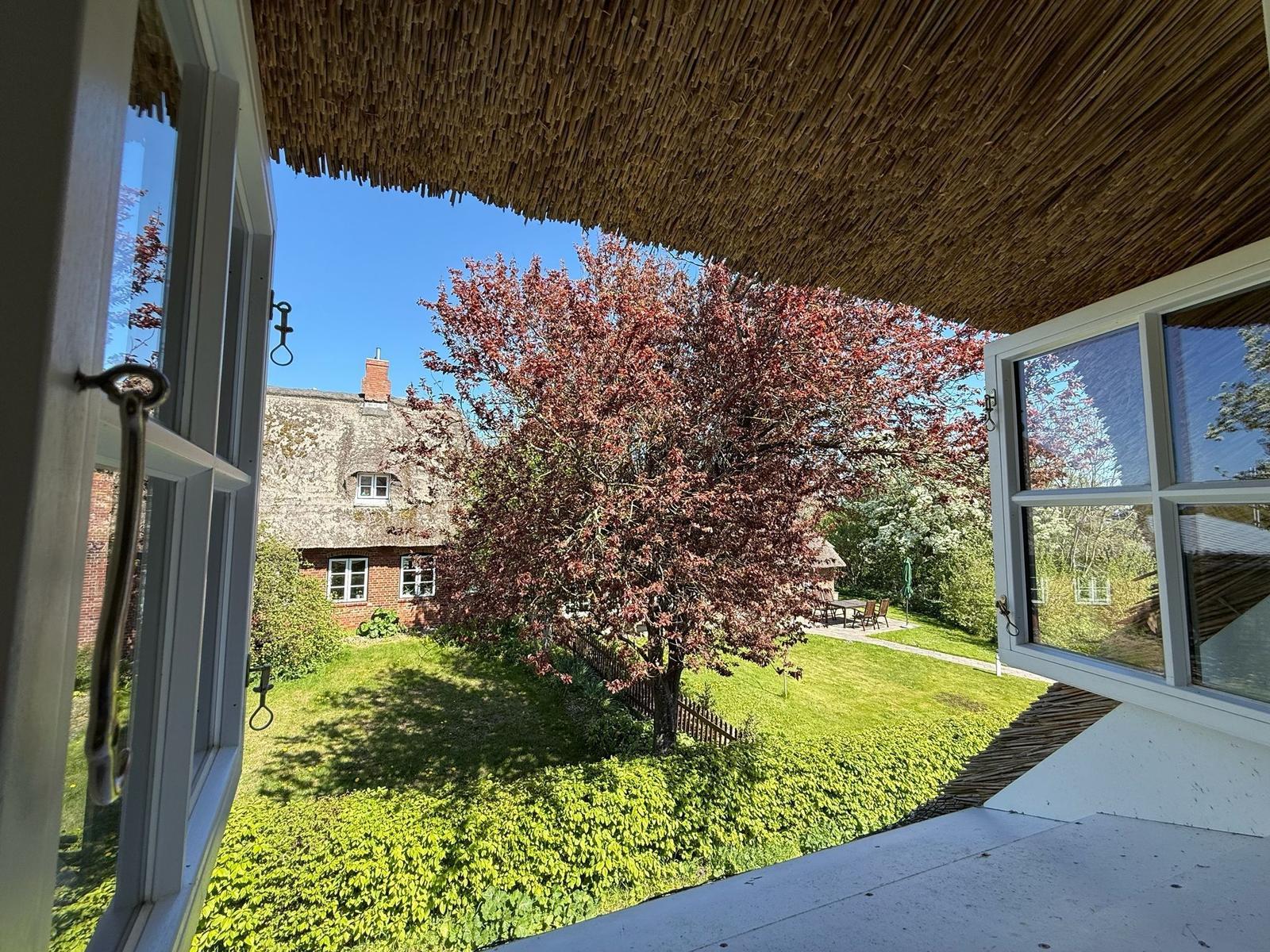 Von der Veranda aus Blick auf den Garten mit Baum und Nachbarhaus.