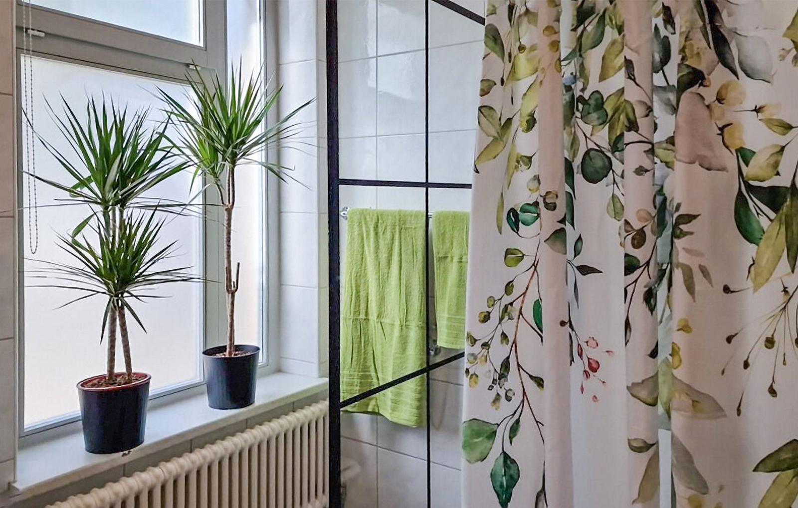 Badezimmer mit Duschkur, Fenster und zwei Zimmerpflanzen auf dem Fensterbrett.