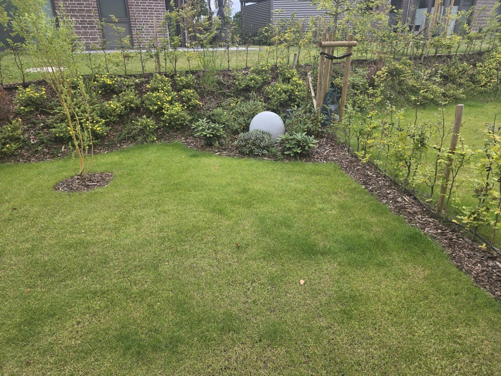 Garten mit Rasenfläche, Blumenbeete und kleinem Steinobjekt.