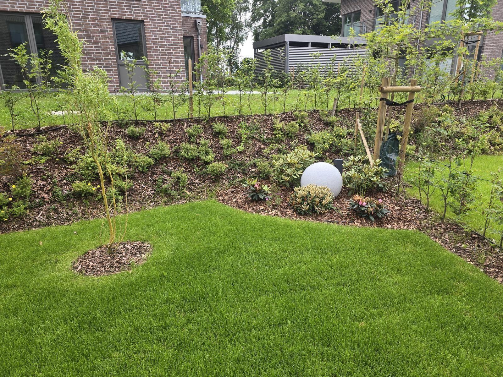 Garten mit Rasen, jungen Bäumen und Beet mit Stein.