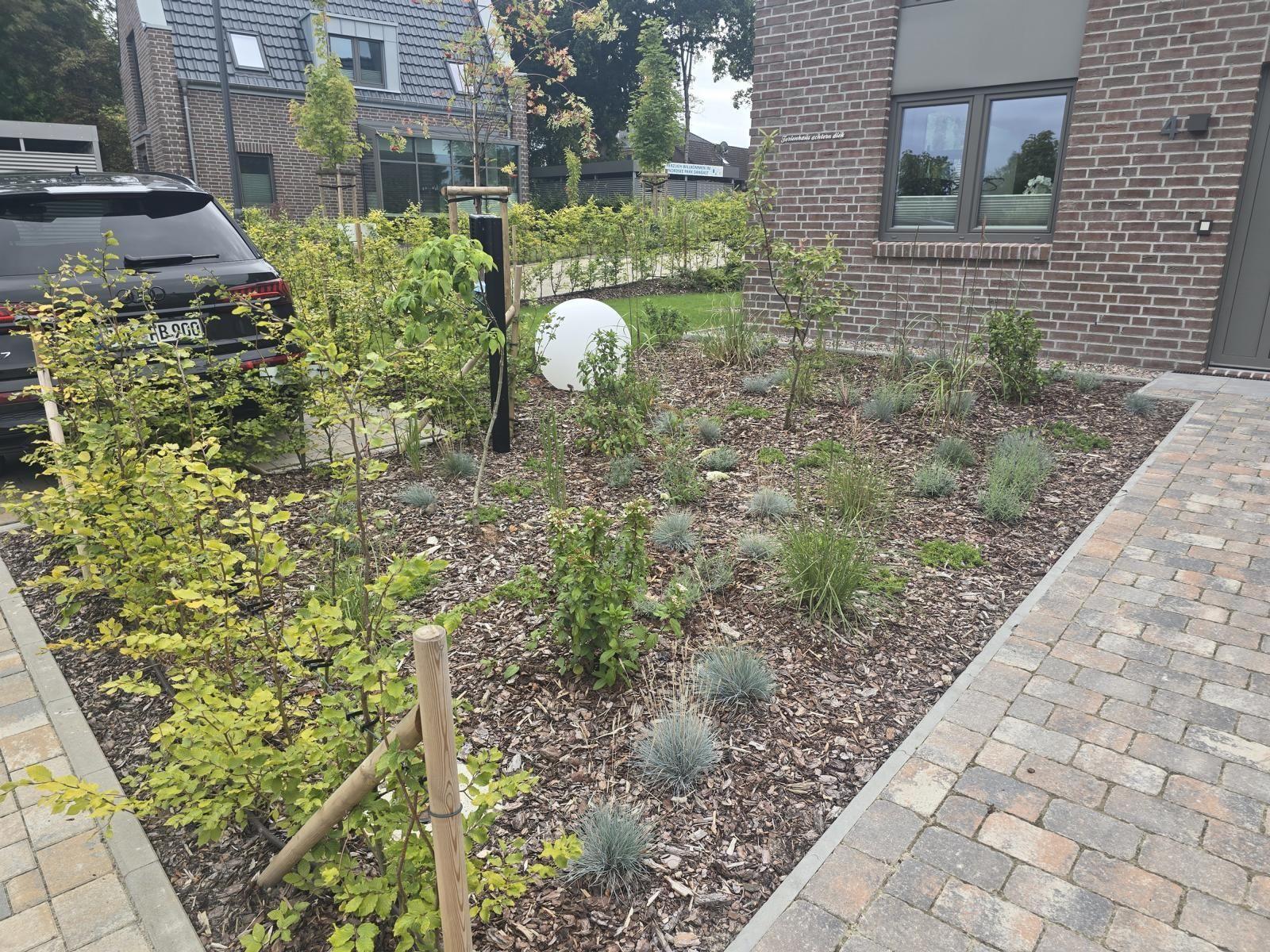 Garten mit jungen Bäumen, Beet und Pflanzen vor modernem Haus mit Zufahrt.