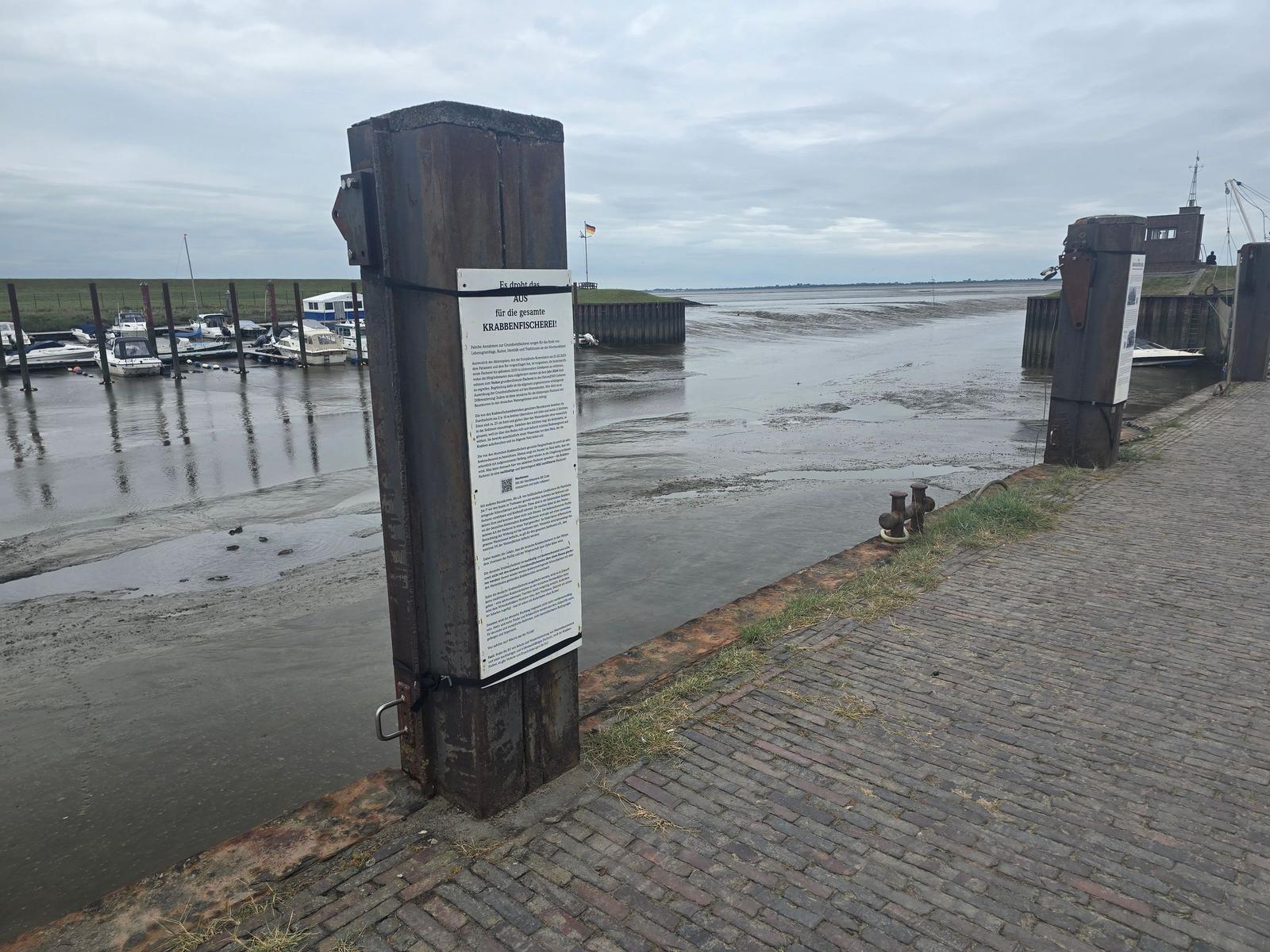 Hafen mit Steg, Booten und Informationsplakat an Pfosten.