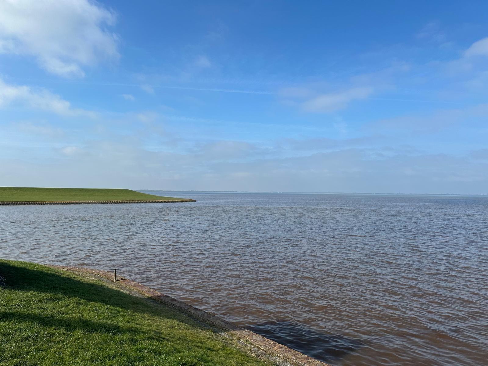 Weitläufiger Blick auf ruhiges Wasser mit grünem Ufer und blauem Himmel.