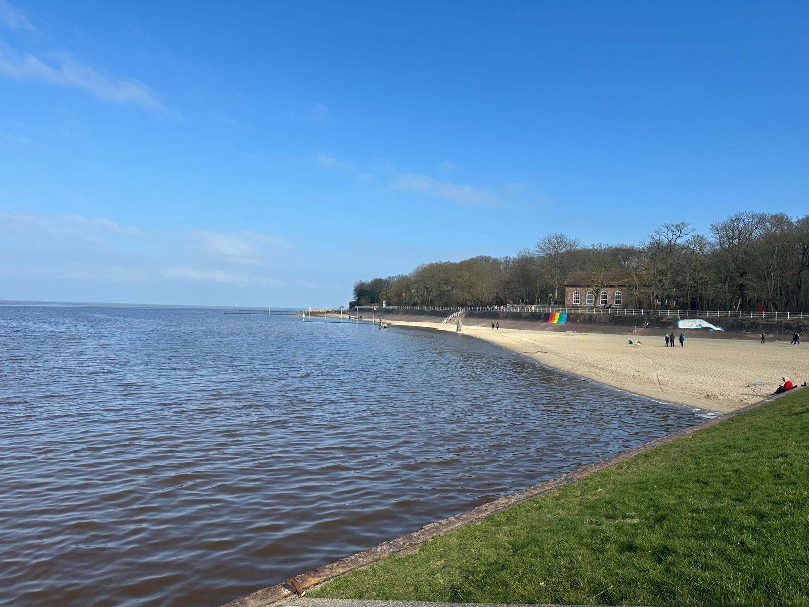 Strand mit Sand, Wasser und Gras, Gebäude und Bäume im Hintergrund.