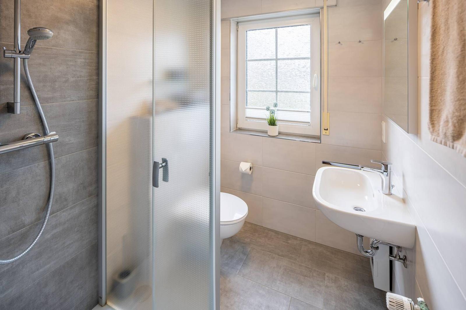 Badezimmer mit Dusche, Toilette und Waschbecken. Fenster mit Pflanze.
