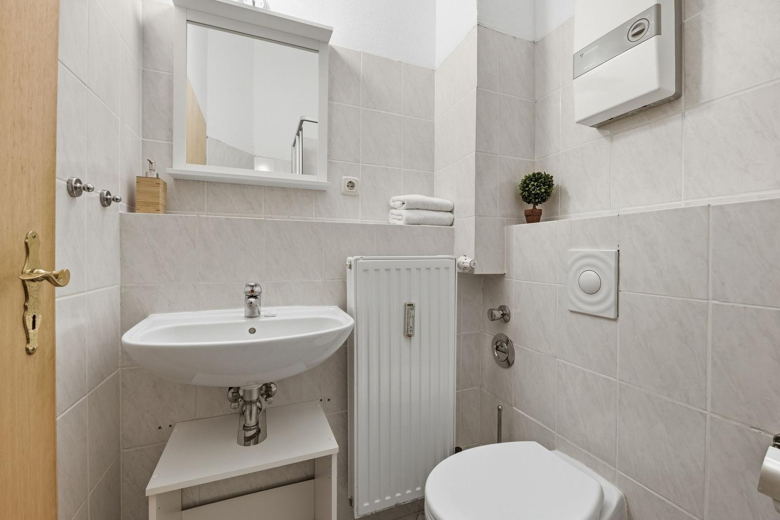 Bathroom with sink, mirror, toilet, and radiator.
