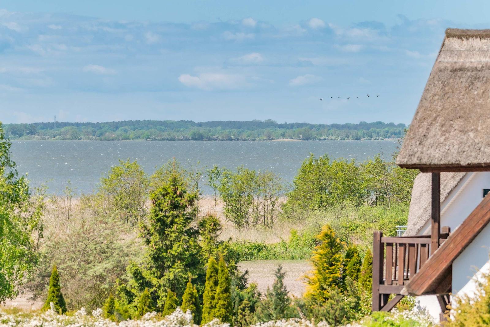Haus mit Strohdach blickt auf einen See mit Wald im Hintergrund.